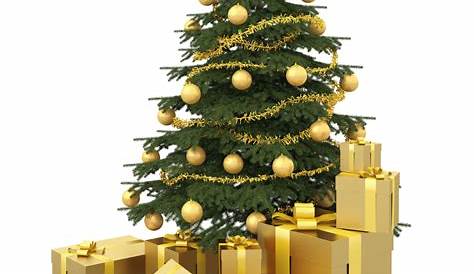 Free Stock PNG: Christmas Tree and Gifts by ArtReferenceSource on