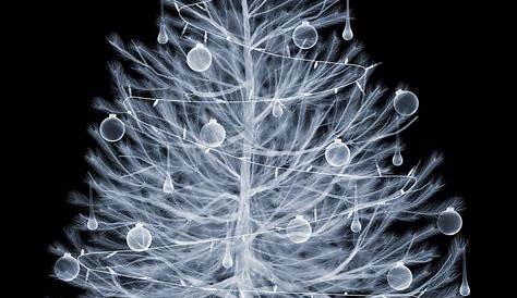 Prominent xray photographer Nick Veasey's take on our Christmas tree