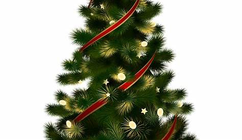 Free Christmas Tree PNG Transparent Images, Download Free Christmas