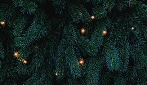 Christmas Wallpaper Iphone Aesthetic Trees