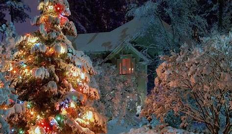 Christmas Winter Backgrounds Wallpaper Cave