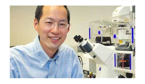 Professor Christopher J. Chang awarded the Humboldt Research Award