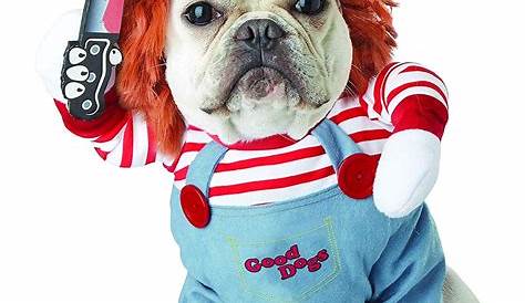 Top-Rated Chucky Halloween Costumes For Dogs: Spooky Style For Your Furry Friend