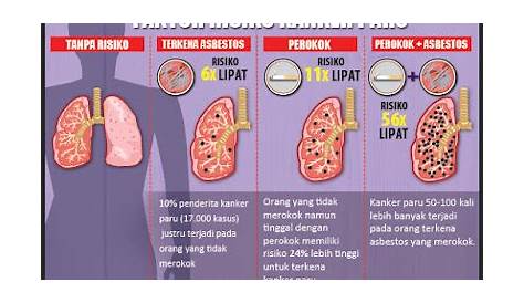 Ciri-ciri Sakit Paru-paru, Penyebab, dan Cara Mengobatinya - GreenGIY
