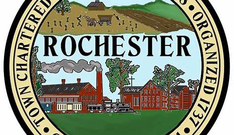 Rochester City Council members remain in their wards with proposed new