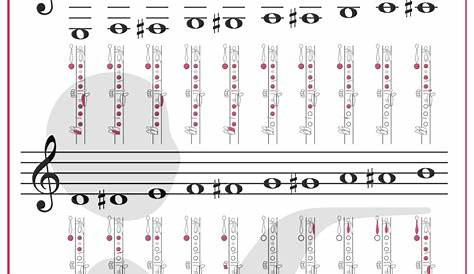 Fingering Chart Posters Music in Everything