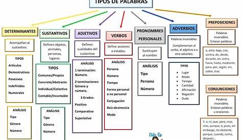 Lengua y literatura española en 3º ESO: CLASES DE PALABRAS