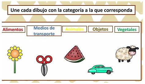 Clasificación de figuras por color - Interactive worksheet