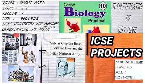 ICSE CLASS 10 HOME SCIENCE 2018 EXAM PAPER DISCUSS - YouTube
