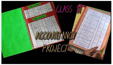 class 11 accounts CBSE comprehensive project | Accounting, Class, Projects