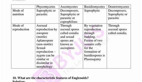 Class 11 Biology | Chapter 1 | The Living World | Full Chapter | Home