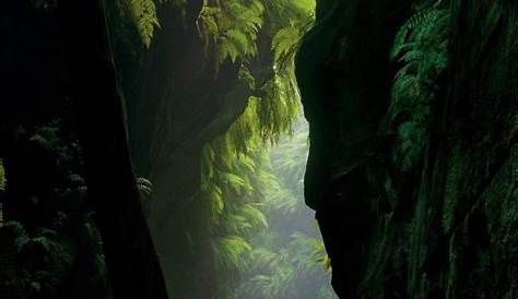 Claustral Canyon National Geographic Colurful Australian