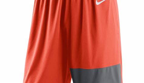 Nike Cleveland Browns Ladies Tempo Running Shorts | Cleveland browns