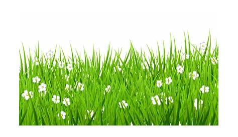 Grass clipart clear background, Grass clear background Transparent FREE