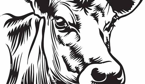 Ausmalbild: Schwarz-Weiß-Kuh | Ausmalbilder kostenlos zum ausdrucken