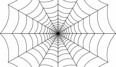 Spider Web Clipart Without Background