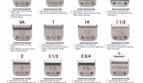 37 Excited Andis Dog Clipper Blades Chart Picture HD uk