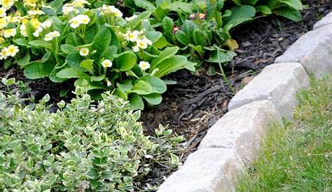 Cobblestone Garden Edging Ideas Planter Bed Standard Planter Bed Driveway