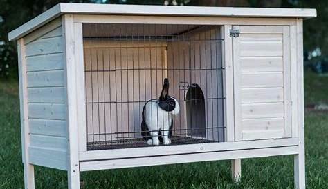 Coffee Table Bunny Cage