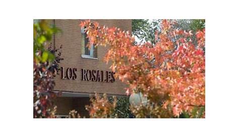 Colegio Santa María de los Rosales | 🥇 Opiniones y Precios 2023