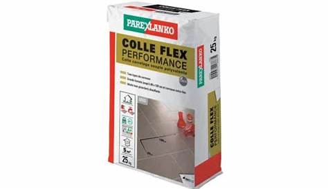 Colle Carrelage Flex Parexlanko COLLE FLEX SPECIALE PAREMENT/DALLAGE 572 Grasse Alpes