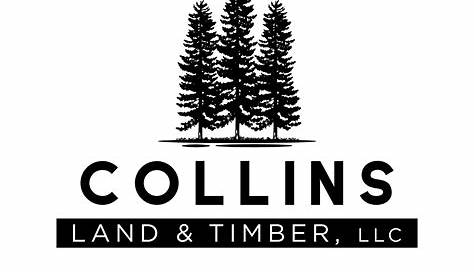 2519 Timber Court, Fort Collins, CO 80521 | MLS IR942780 | Listing