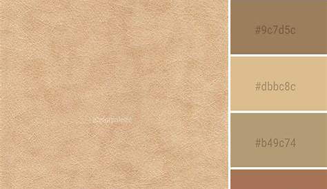 different shades of beige and brown are shown in this graphic style