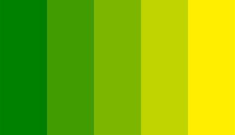 Green Palette, Nature Color Palette, Combination Colors