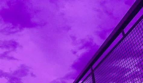 Imagenes De Fondo Color Morado 4k Aguila Rayo Struck Fondos Lobo