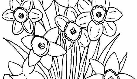 Cute spring flowers - Flowers Adult Coloring Pages