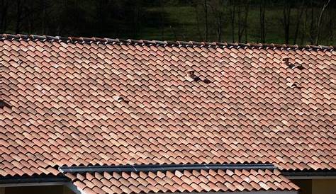 Combien De Tuile De Ventilation Au M2 Prix Toiture Mécanique