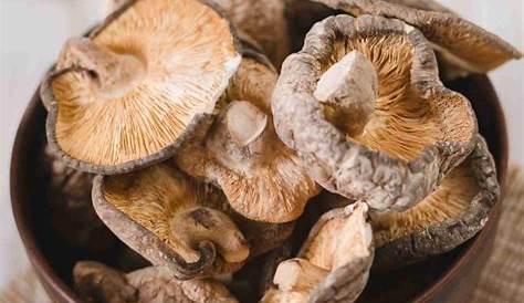 Hai mai provato i funghi secchi? Ecco come usarli per dei risultati