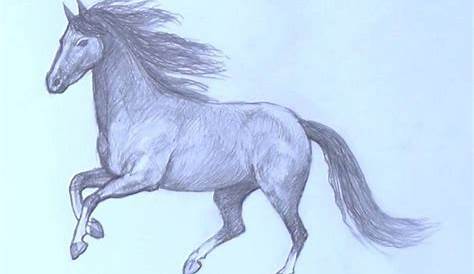Come Disegnare Un Cavallo - byonhorn