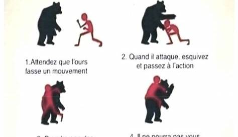 Comment combattre un ours à main nue ? - Le chasseur français
