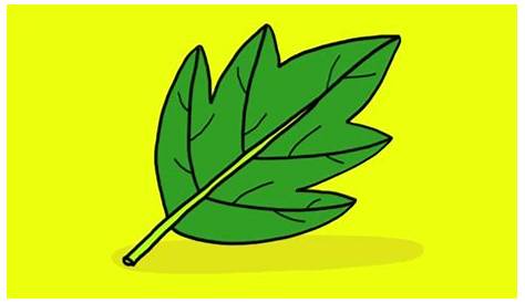 Comment tracer des feuilles d'arbre - Cabane à idées