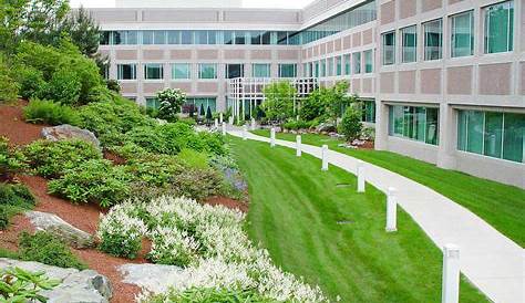 Fresh Landscaping Ideas for Commercial Properties - GroundMasters