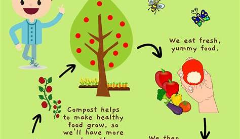 Composting Diagram For Kids Wes Sustainability Made Easy