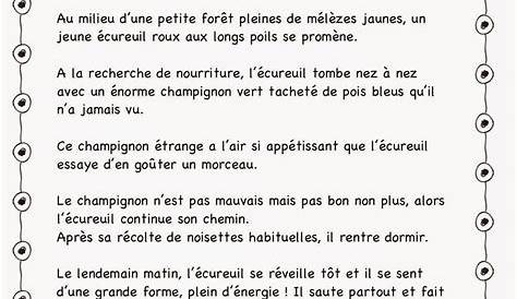 FICHE DE LECTURE ET COMPREHENSION CE1 - sab ' bricole