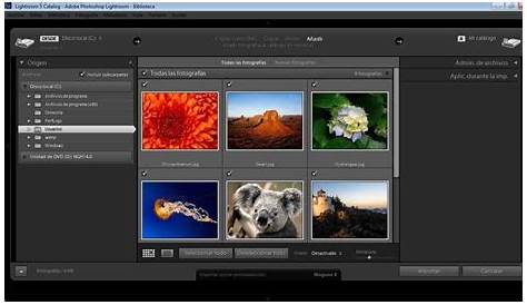 An Introduction to Lightroom for New Photographers