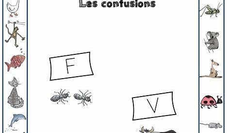 f / v - Son complexe, confusion : CE1 - Cycle 2 - Exercice évaluation