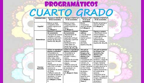 Dosificacion De Contenidos Cuarto Grado - trimapa