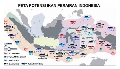 Media SD: PETA KHUSUS DAN PETA UMUM