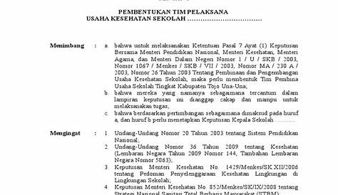 Struktur Organisasi UKS SD, SMP, SMA, dan SMK [+Contoh] - AneIqbal