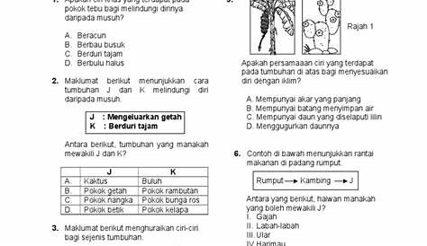 Kertas 2 Peperiksaan Akhir Tahun Sains Tingkatan 4 | PDF