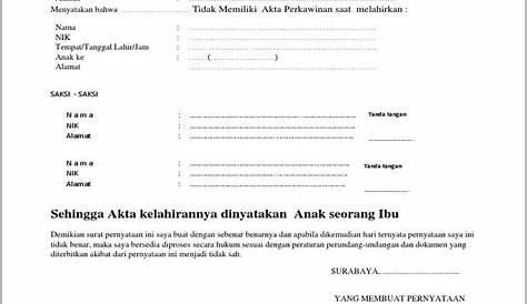 Detail Contoh Surat Pernyataan Pengakuan Anak Kandung Koleksi Nomer 9