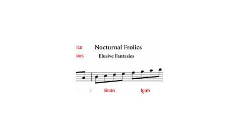 Musical notation infographics