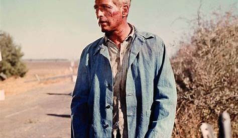 Cool Hand Luke Crown