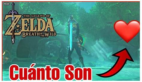 Espada Maestra (Hyrule Warriors) | The Legend of Zelda Wiki | Fandom