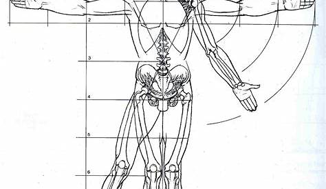 Disegni da colorare di scienze: disegni del corpo umano