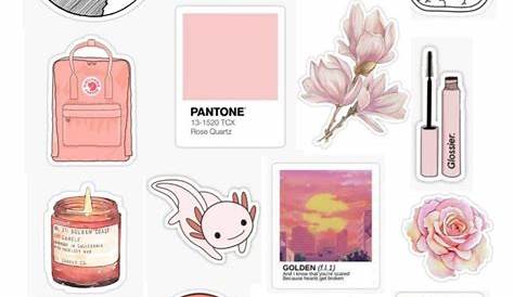 aesthetic stickers | Sticker pack aesthetic vintage, Aesthetic stickers